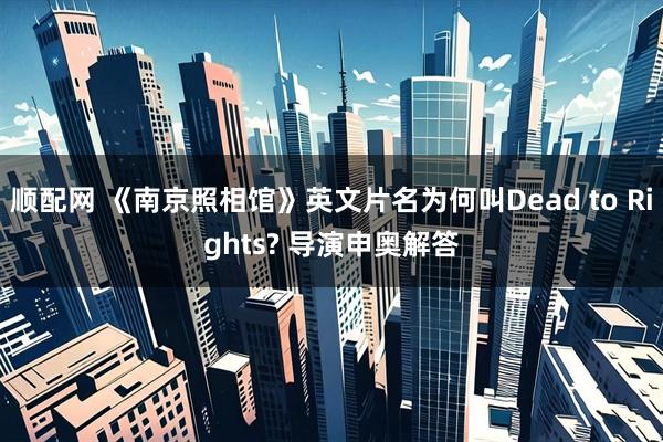 顺配网 《南京照相馆》英文片名为何叫Dead to Rights? 导演申奥解答