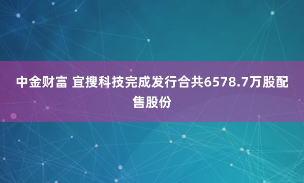 中金财富 宜搜科技完成发行合共6578.7万股配售股份