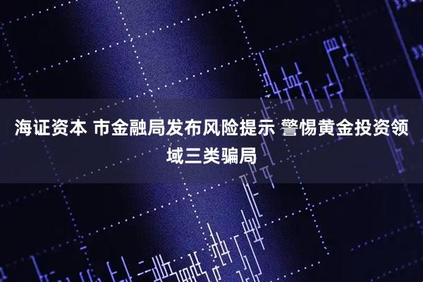 海证资本 市金融局发布风险提示 警惕黄金投资领域三类骗局