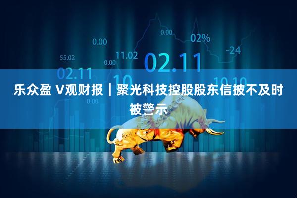 乐众盈 V观财报|聚光科技控股股东信披不及时被警示