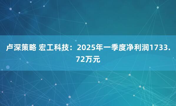 卢深策略 宏工科技:2025年一季度净利润1733.72万元